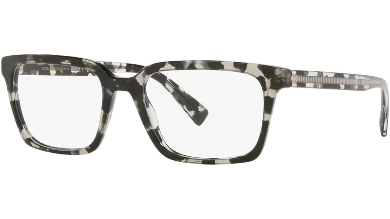 DG 3337 3172 tortoise