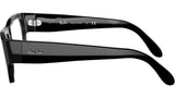 Nomad Wayfarer Optics RB5487 2000