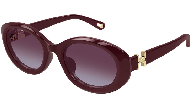 030017039-DDZDZ88B_2.jpg