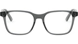 DiorBotanicaO S1I Grey Rectangular Eyeglasses