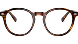 PH4218 613771 Brown Tortoise