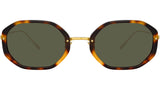 Tayler C2 Tortoiseshell
