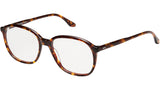 Solange Tortoise