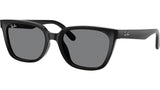 RB2243D 901/87