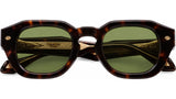 Ludo Dark Havana