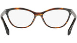 3067 002 tortoise