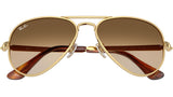 Aviator Max RB3925 001/51