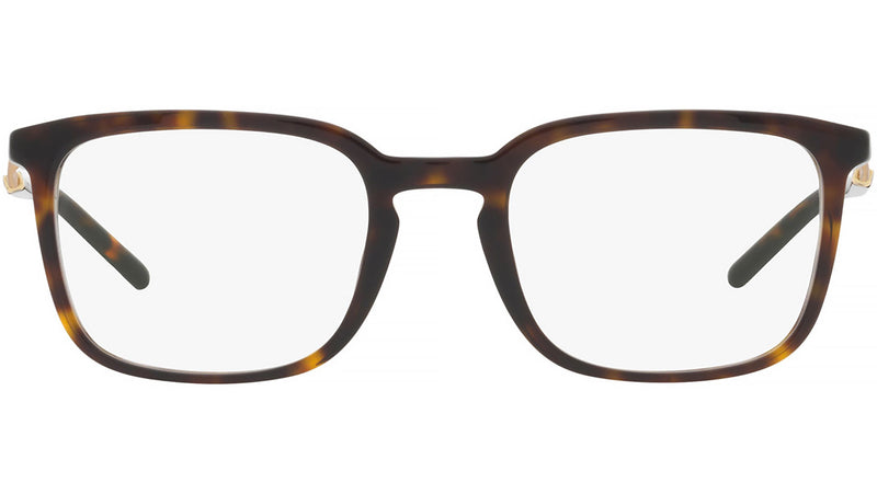 DG 3349 502 tortoise