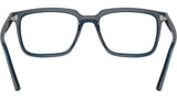 Alain Optics RB7239 8256