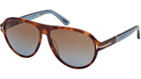 Quincy FT1080 53F Havana Blue Brown