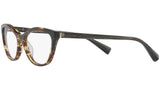 3067 002 tortoise