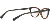 3067 002 tortoise