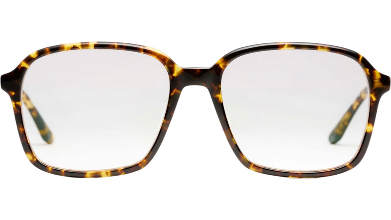 Marguerite Tortoise