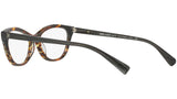 3067 002 tortoise