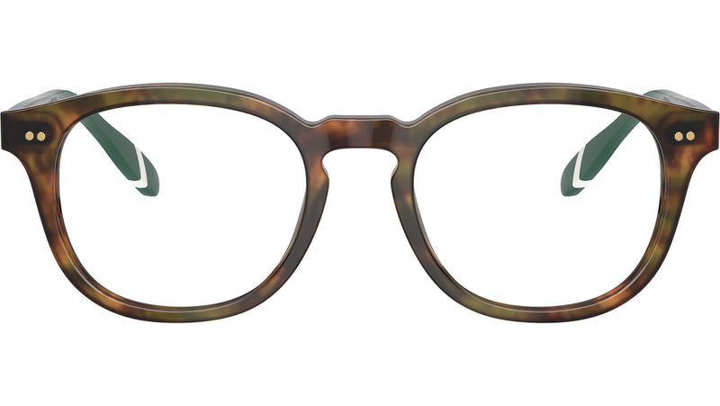 PH2267 5017 Brown Tortoise