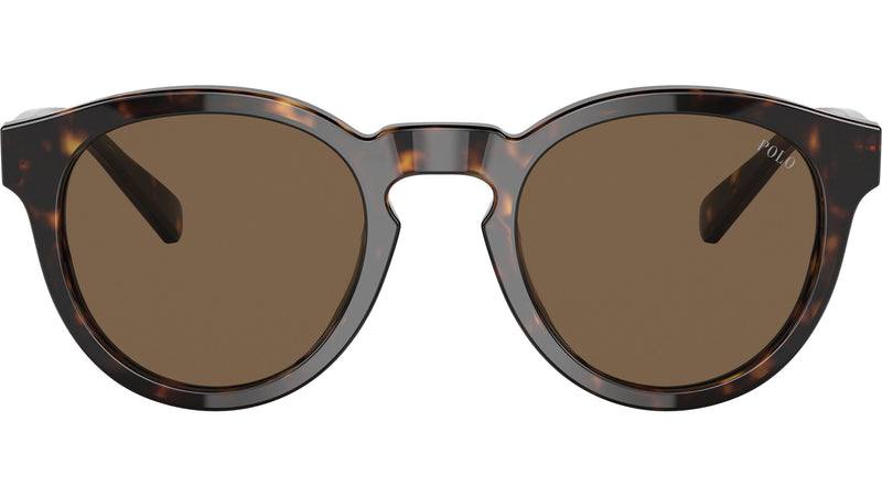 PH4184 500373 Dark Havana