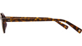 Feliz Sun Marigold Tortoise