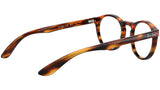 RB5283 striped havana