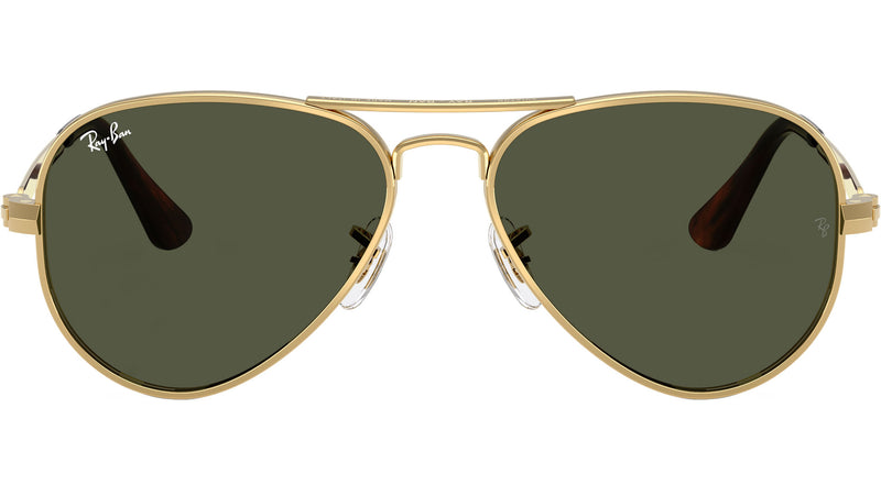 Aviator Max RB3925 001/31