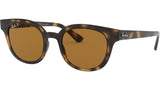 RB4324 710/83 light havana