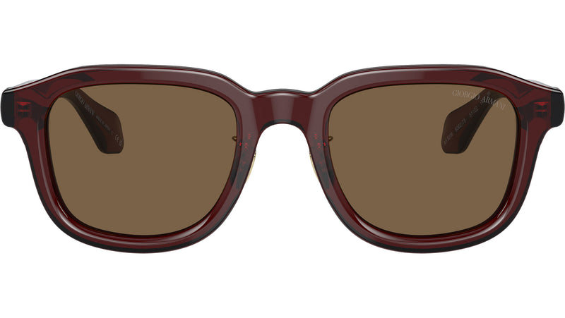 AR 8206 606273 Brown