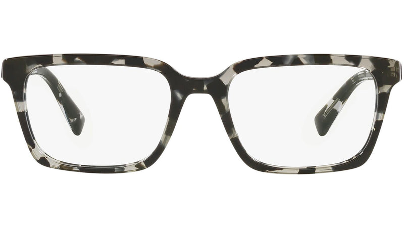 DG 3337 3172 tortoise