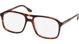 Little Eva Tortoise