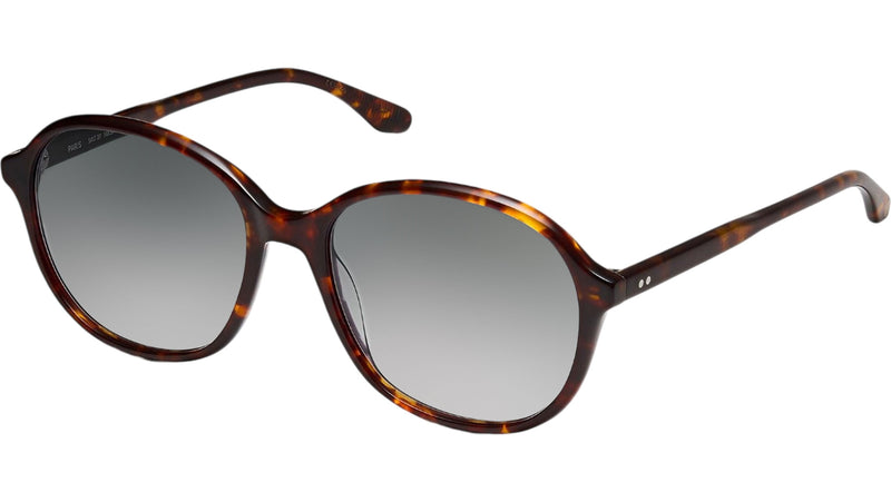 Solenne Sun Tortoise