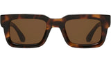05 M Tortoise