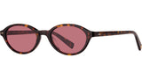 Feliz Sun Marigold Tortoise