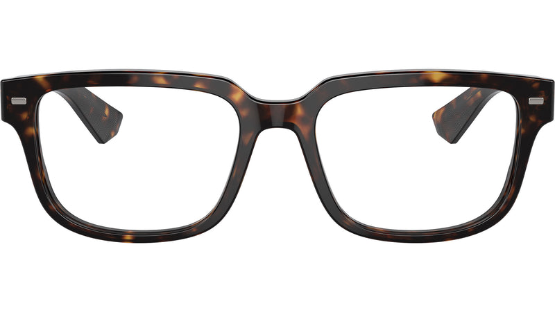 DG 3380 502 Tortoise