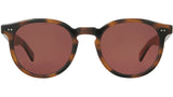 Morningside X Sun Spotted Brown Shell