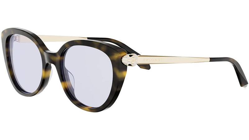 Serpenti Forever Havana Square Eyeglasses