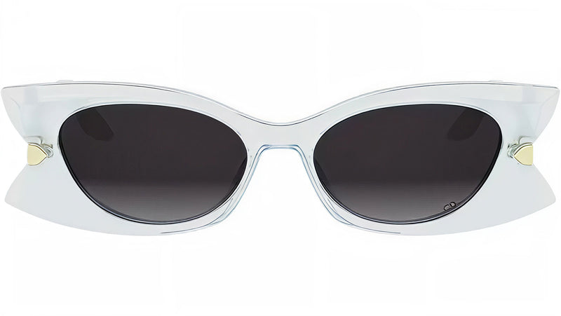 DiorButterfly S2I Transparent Blue Butterfly Sunglasses