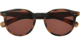 Morningside X Sun Spotted Brown Shell