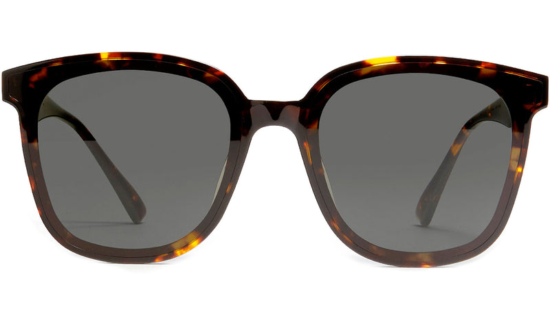 Jackie T1 Brown Tortoise