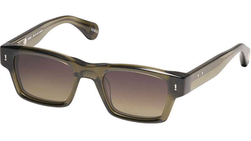 Amy Sun Saguaro Army