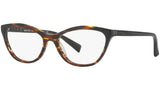 3067 002 tortoise
